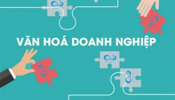 Kết quả hình ảnh cho Văn hóa doanh nghiệp